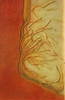 /album/galleria-foto-opere-di-pittura/a23-s-lavorato-nel-vento-tecn-mista-su-tela-mis-cm-53x73-jpg/